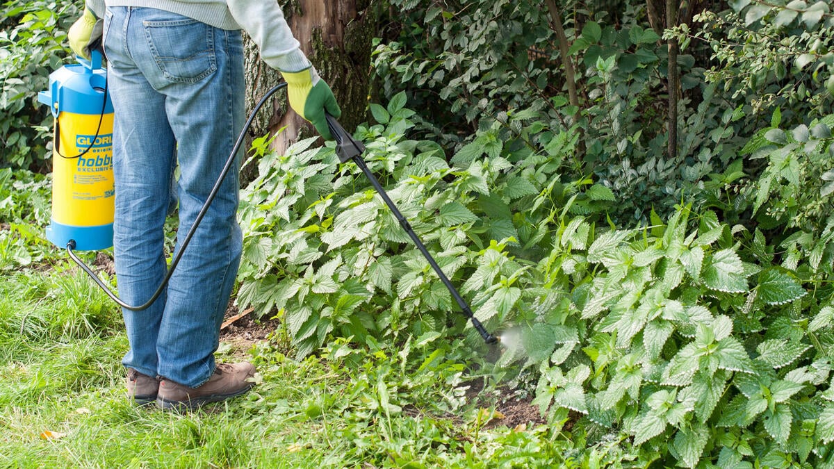 comment désherber au chlorate de soude